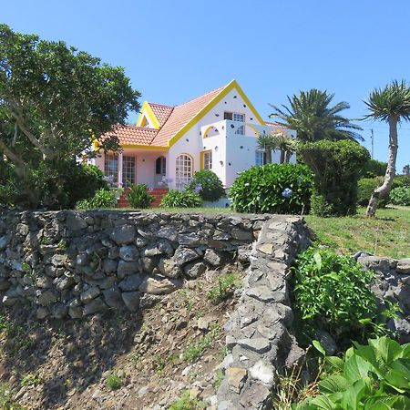 Villa Cedros 산타 크루즈 다스 플로레스 외부 사진